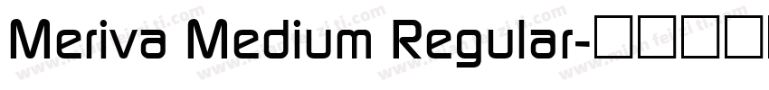 Meriva Medium Regular字体转换